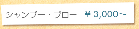 シャンプー・ブロー　￥3,000〜